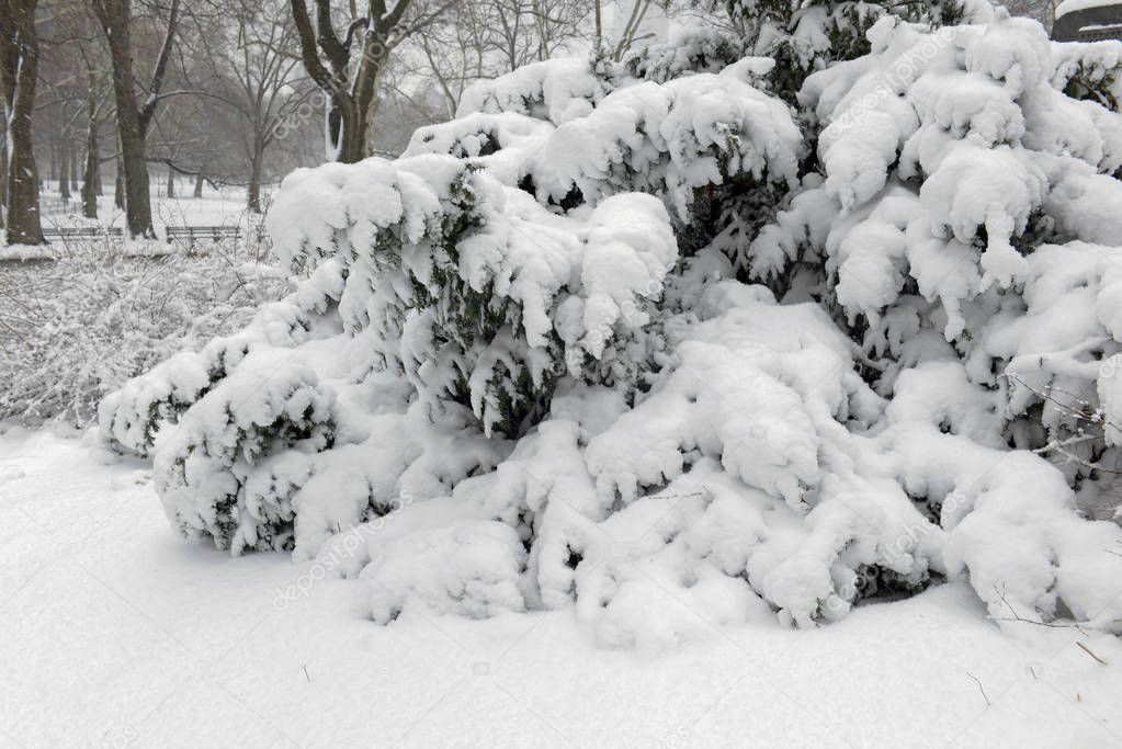 Snow scene in Central Park New York