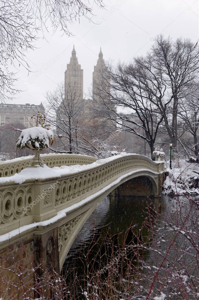 Snow scene in Central Park New York
