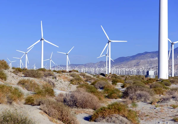 Turbin Angin Menciptakan Energi Terbarukan Pada Kincir Angin Padang Pasir — Stok Foto