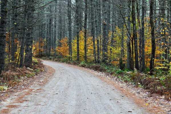 Vibrant Colors Fall Foliage Adirondack Mountains New York State — Stock Photo, Image