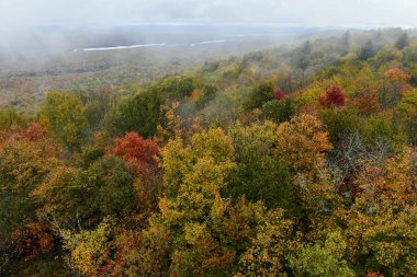 Adirondack Dağları, New York Eyaleti 'ndeki Sonbahar yeşilliğinin canlı renkleri