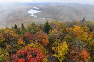 Adirondack Dağları, New York Eyaleti 'ndeki Sonbahar yeşilliğinin canlı renkleri