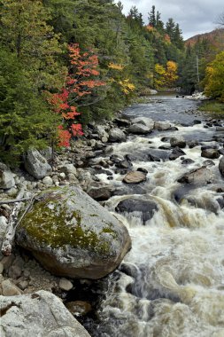 Adirondack Dağları, New York Eyaleti 'ndeki Sonbahar yeşilliğinin canlı renkleri