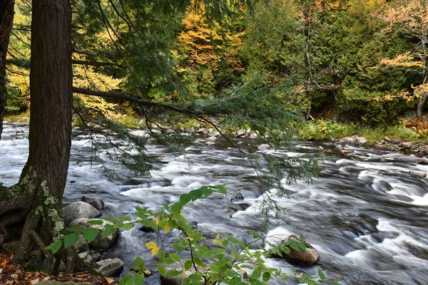 Živé Barvy Podzimního Listí Horách Adirondack Stát New York — Stock fotografie