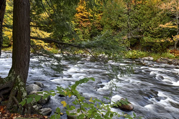 Ζωηρά Χρώματα Του Φυλλώματος Φθινόπωρο Στα Βουνά Adirondack Πολιτεία Της — Φωτογραφία Αρχείου