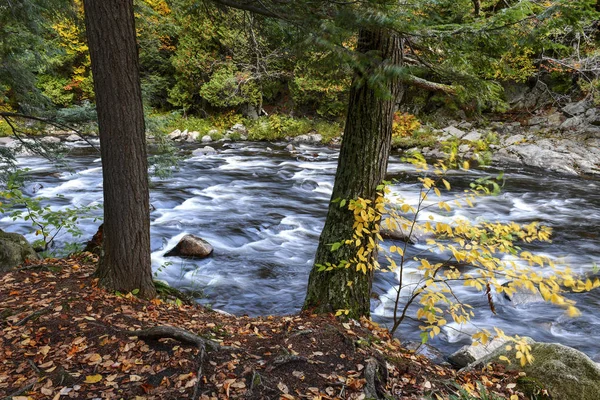 Živé Barvy Podzimního Listí Horách Adirondack Stát New York — Stock fotografie