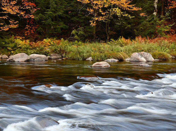 Živé Barvy Podzimního Listí Horách Adirondack Stát New York — Stock fotografie