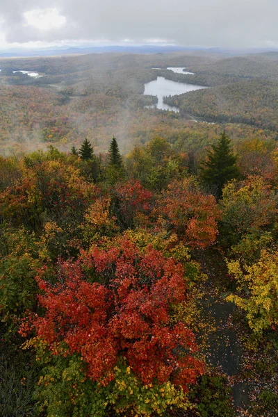 Živé Barvy Podzimního Listí Horách Adirondack Stát New York — Stock fotografie