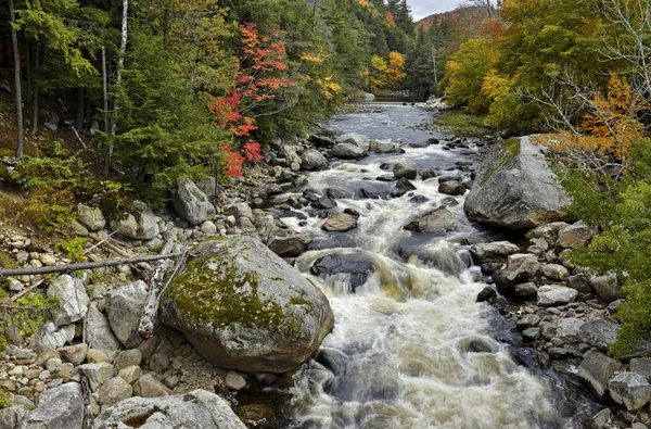 Ζωηρά Χρώματα Του Φυλλώματος Φθινόπωρο Στα Βουνά Adirondack Πολιτεία Της — Φωτογραφία Αρχείου
