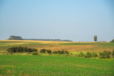 Kırsal alan ya da alan, kentsel, kentsel olmayan ya da tarım faaliyetlerinde kullanılan kentsel büyümeyi sınırlamaya yönelik olmayan herhangi bir coğrafi bölgedir..