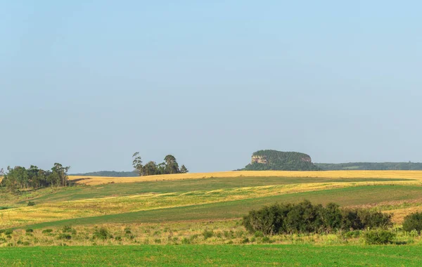 Rural Area Field 활동에 사용되는 비도시화 제한을 분류되지 지리적 지역이다 — 스톡 사진