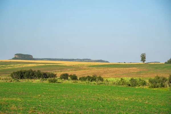 Kırsal alan ya da alan, kentsel, kentsel olmayan ya da tarım faaliyetlerinde kullanılan kentsel büyümeyi sınırlamaya yönelik olmayan herhangi bir coğrafi bölgedir..