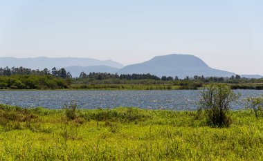 Latin Amerika 'da turist ve sahil kenti Osorio, Rio Grande do Sul State, Rs, Brezilya, Turizm' deki Marcelino Lagoon kıyılarından görüntü. Gaucho 'nun kuzey kıyısındaki şehir.