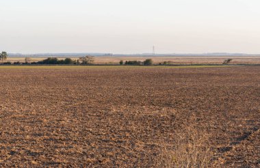 Tohum ekmeye hazırlanan sulama pirinç tarlası. Arka planda, alanın ortasında bir enerji kulesi var. Güney Brezilya 'da hassas tarım. Toprak ekime hazır.