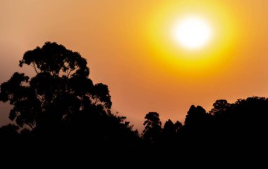 Güney Brezilya 'da bir kış öğleden sonra Uruguay sınırında nesnelerin renkleri ve silueti. Tropikal renklerle ve renklerle tropikal bölgede gün batımı. Karanlık manzaralar.