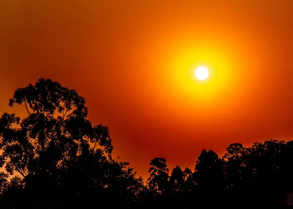 ウルグアイと国境を接するブラジル南部の晩冬の午後における物体の色とシルエット 熱帯色と色合いの熱帯地域で日没 夕暮れの風景 — ストック写真