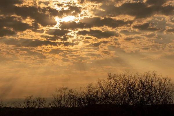 南ブラジルの農村部で午後遅くの風景は Uruguayとの国境 熱帯の冬の季節に異なる色と色合いの夜 午後遅くの田園風景 — ストック写真