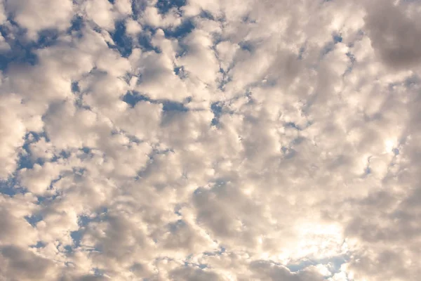 Intensiva Färger Och Nyanser Höst Eftermiddag Himlen Latinamerika Solnedgång Och — Stockfoto
