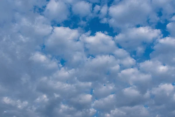 Couleurs Intenses Teintes Après Midi Automne Dans Ciel Amérique Latine — Photo