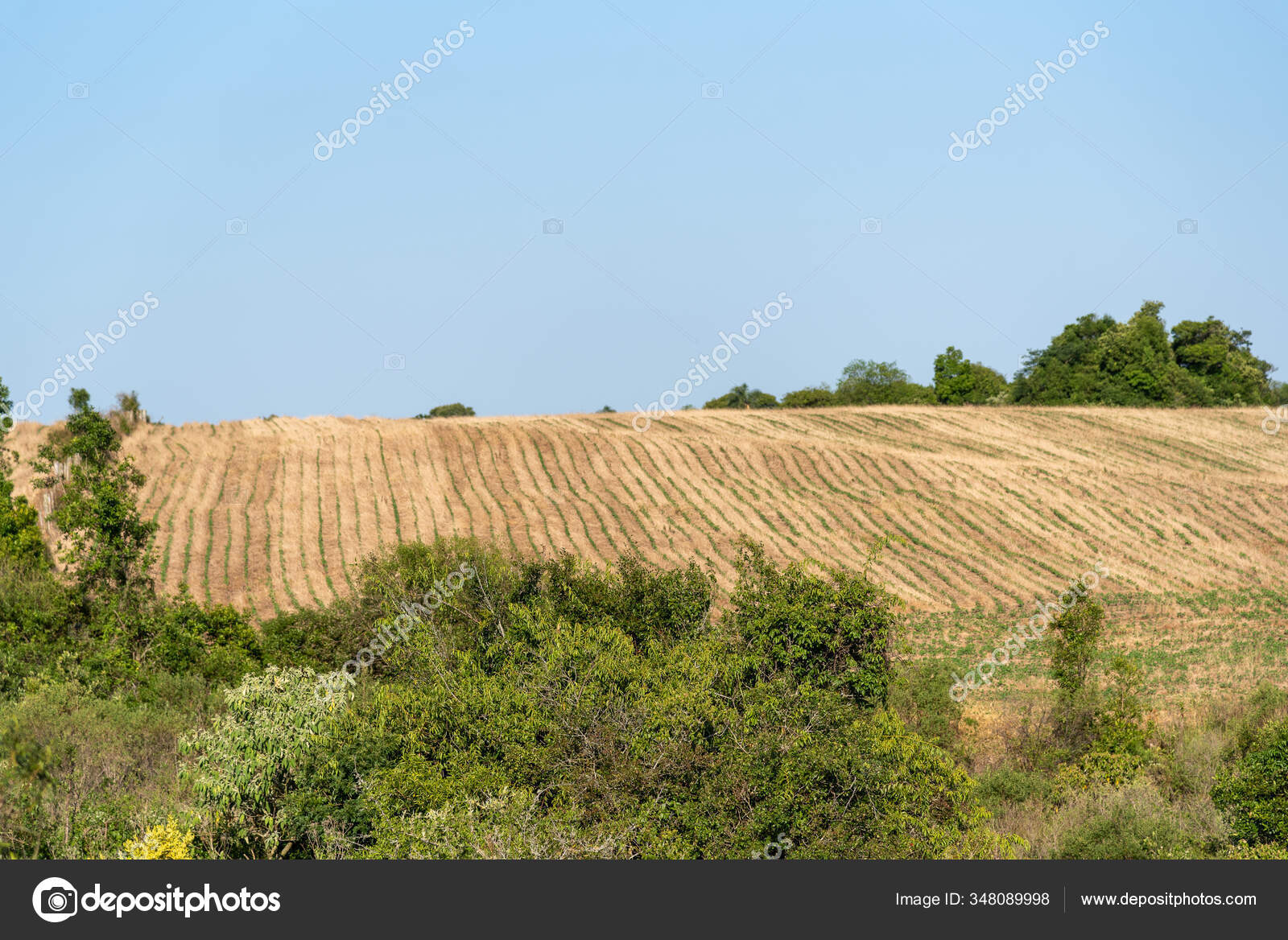 Pampa Landscapes Pampas Natural Pastoral Plains Field Covered Plains Located Stock Photo Image By C Lecobron 348089998