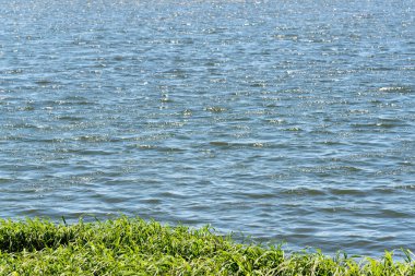 Cerro Chapado bölgesindeki kırsal alan, Jaguari şehrinin iç kesimi, SC, Brezilya. Alman ve İtalyan göçmenler tarafından sömürgeleştirilen dağ bölgesi ve üzüm ve şarap üretimi yeri.