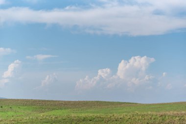 Pampa manzaraları. Pampa 'lar Güney Amerika' nın güneyinde yer alan doğal, pastoral ovalardır. Güney Brezilya, Uruguay ve Arjantin 'i kapsar..