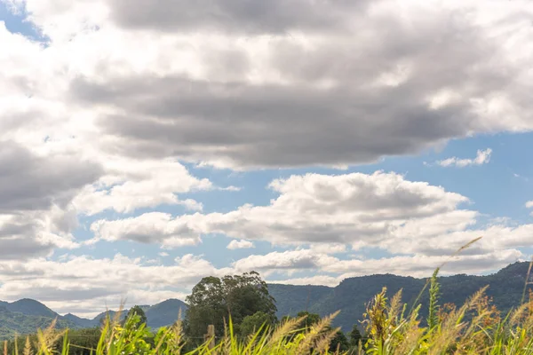 Cielo Nubes Una Soleada Tarde Verano Sur Brasil Área Producción — Foto de Stock