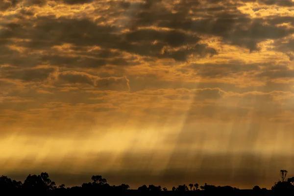 Silhouette Des Sonnenuntergangs Und Später Nachmittag Süden Brasiliens Frontal Mit — Stockfoto