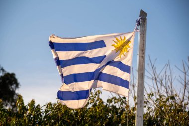 Uruguay bayrağı güneşli bir öğleden sonra rüzgarla sallanıyor. Bir Güney Amerika ülkesinin bayrağını taşıyan tahta direkler rüzgarın tadını dalgalandırıyor..