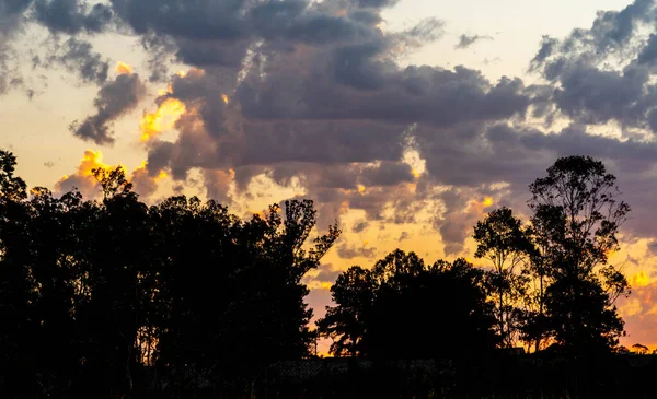 ブラジルの南の晩秋の午後 雲の存在と色と陽の強烈なオレンジ色と影のコントラスト — ストック写真