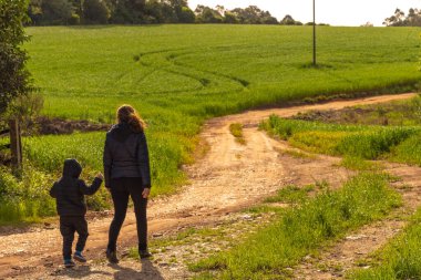 Anne ve oğlu pirinç tarlaları arasındaki toprak yolda. Bir sonbahar öğleden sonrasında bir çocukla annesinin bir yol boyunca yürüdüğü kırsal alan..