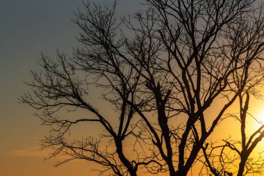 Jaguari Nehri Vadisi 'nde gün doğumu, Jaguari Şehri, Rs, Brezilya. Jaguari, Tupi-Guarani kökenli bir kelimedir ve Jaguar nehri anlamına gelir. Rs devletinin orta bölgesinde turizm