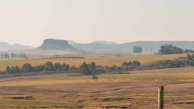Arenito Mata 'nın Paleobotanik sahaları, So Pedro do Sul, RS, Brezilya. Bölgede ayrıca dinozor fosilleri ve bugüne kadar Güney Americ 'te bulunan en büyük sürüngen bulundu.