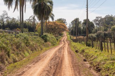 Brezilya 'nın Jaguari kentindeki Cerro Chapado' da kırsal bir arazinin ortasındaki bir kara yolunun resmi. Arazinin sakinlerini çevreleyen yollar.