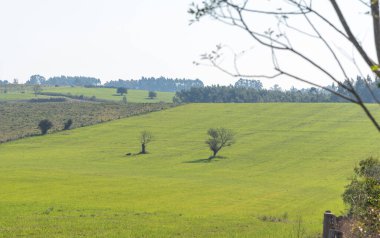 Cerro Chapado bölgesindeki kırsal alan, Jaguari kenti, SC, Brezilya.