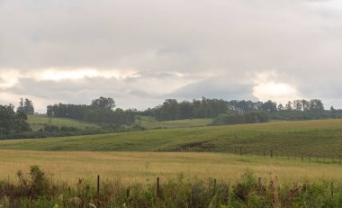 Yazın öğleden sonra bulutlu ve bulutlu gökyüzü ile kırsal alan. Güney Brezilya 'da tarımsal üretim alanı. Arkaplanda ekilebilir ve soya fasulyesi tarlaları