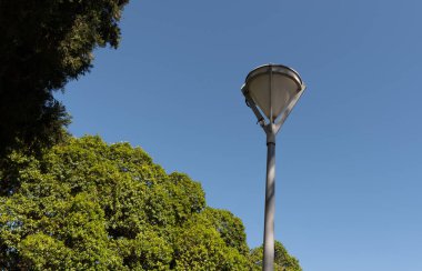 Okul oyunları, spor haberleri, kameralar ve ışıklandırmayla dolu bir gece. Güney Brezilya 'da okulda öğrenci sporları. Okul oyunları, spor ve kameralı ve ışıklandırmalı gazetecilik gecesi.. 