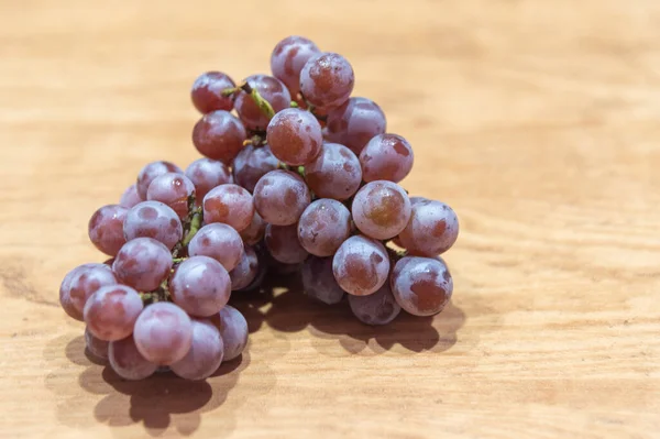 열매가 주렁주렁 포도나무 포도나무는 지방에서 재배되는 비타민 덩굴이다 열매로 와인을 — 스톡 사진