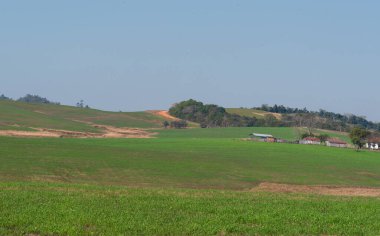 Kırsal bir üretim çiftliği manzarası ve arka plan arazi içindeki toprak bir yol. Güney Brezilya 'nın çiftlik yolunda Ufuk ve mesafe.