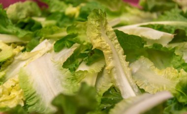 Lactuca sativa var crispa. Bu kıvırcık marulun bilimsel adıdır, bir yaprak maruludur. Marul Brezilya 'da en çok üretilen üçüncü sebzedir.