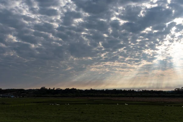 Paysage Fin Après Midi Avec Coucher Soleil Sur Horizon Biome — Photo