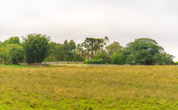 Afbeelding Van Veehouderij Agrarische Productiegebieden Staat Rio Grande Sul Zuid — Stockfoto