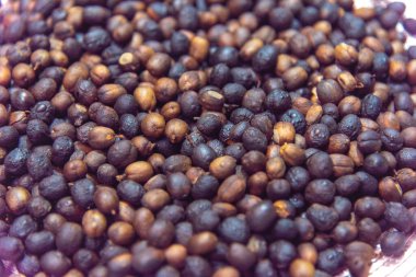 Kahve çekirdekleri masaya yayılmış, kavrulmuş ve tozu almak ve içeceği hazırlamak için hazır. Brezilya kahvesi üretimi ve ev yapımı öğütme. Sıcak içecek..