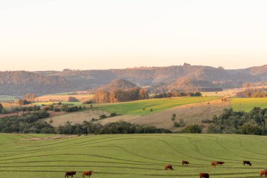 Jaguari Nehri Vadisi, Jaguari Şehri, Brezilya 'da kırsal alanda gün batımı. Arka planda yerli Brezilya ağaçlarıyla dolu bir dağ var..