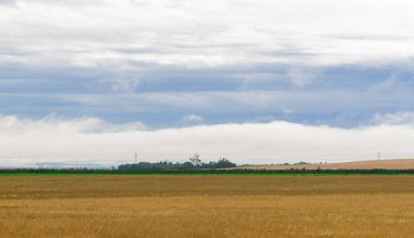 Brezilya 'nın iç kesimindeki So Vicente do Sul meydanındaki bir bank. Halk meydanı. Yerel halk için dinlenme ve rahatlama ortamı