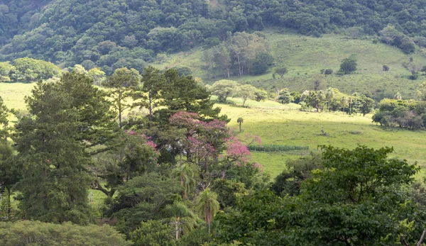 Krajobraz Wiejski Południowej Brazylii Turystyka Ekologiczna Widok Dolinę Miasta Silveira — Zdjęcie stockowe