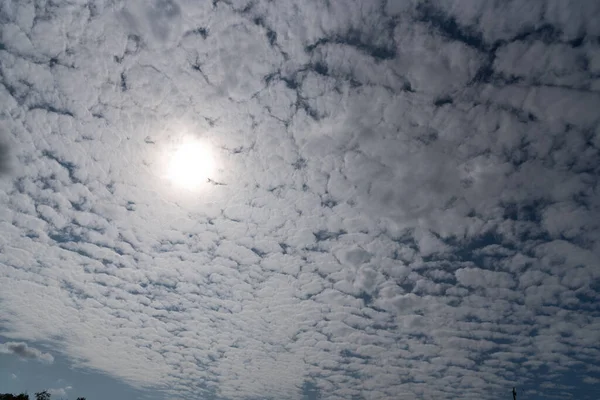 Mehrere Wolken Des Typs Schafe Blauen Himmel Über Ihnen Verdunkelte — Stockfoto