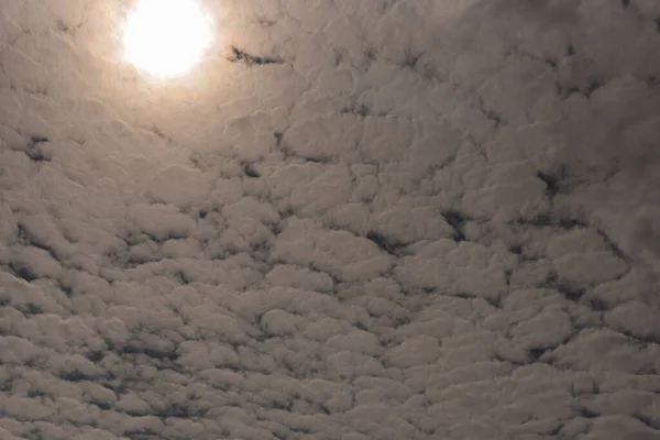 Mehrere Wolken Des Typs Schafe Blauen Himmel Über Ihnen Verdunkelte — Stockfoto