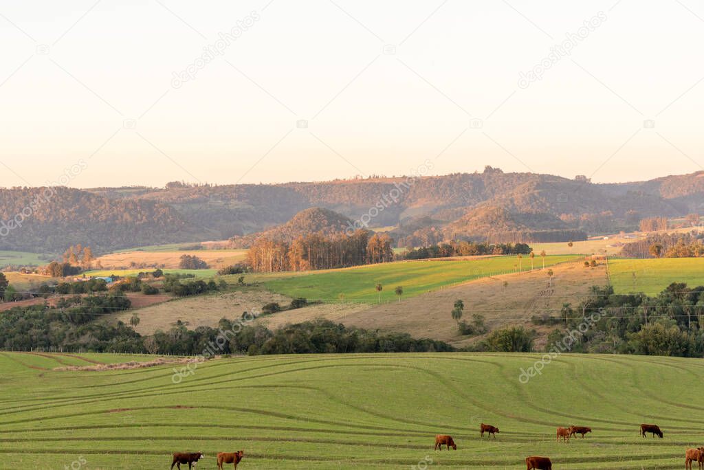 Sunset over rural landscape in Jaguari River Valley, Jaguari City, Brazil. In the background a mountain with native Brazilian trees.