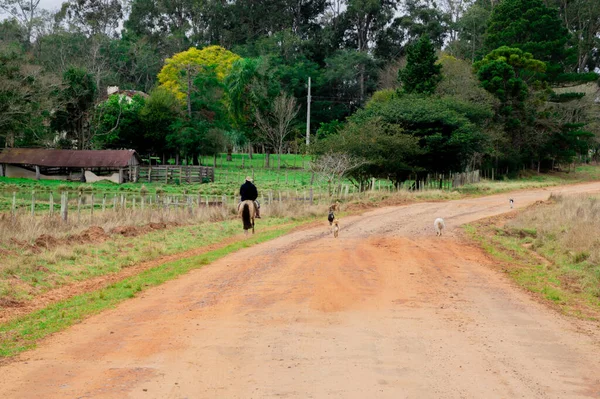 Caballero Paseando Por Camino Tierra Sur Brasil Acompañado Por Una — Foto de Stock